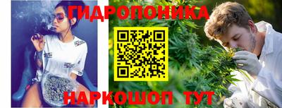 a pvp Ачхой-Мартан