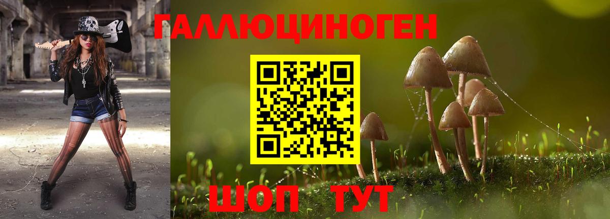 Псилоцибиновые грибы MAGIC MUSHROOMS Клин